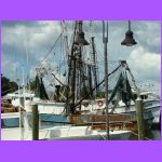 Boats on Sponge Docks.jpg